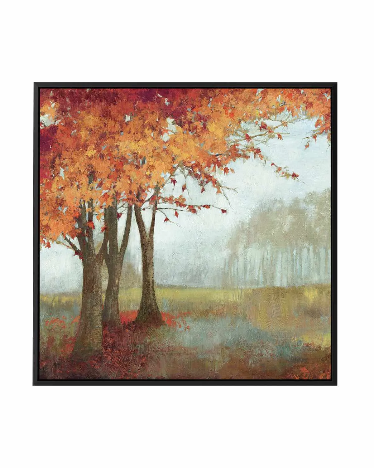 A Sense of Space II | Framed Canvas Art Print