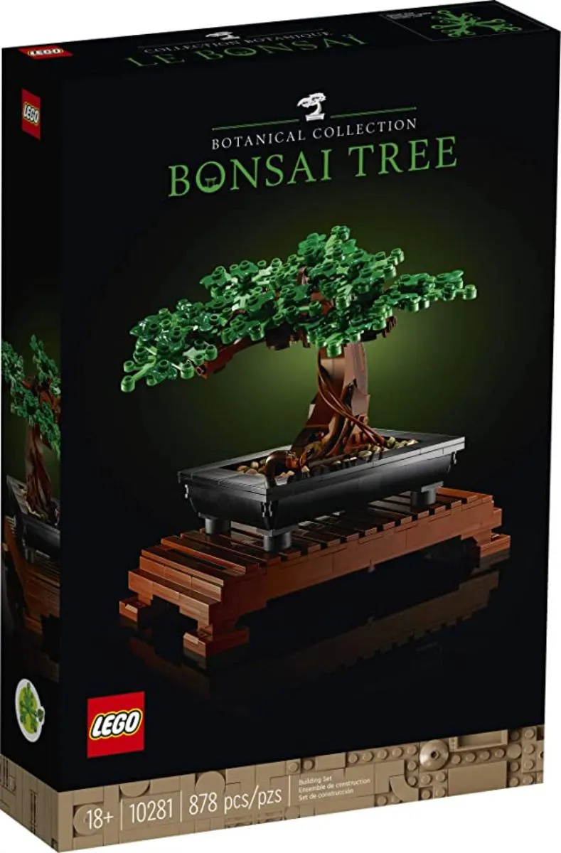 Bonsai Tree