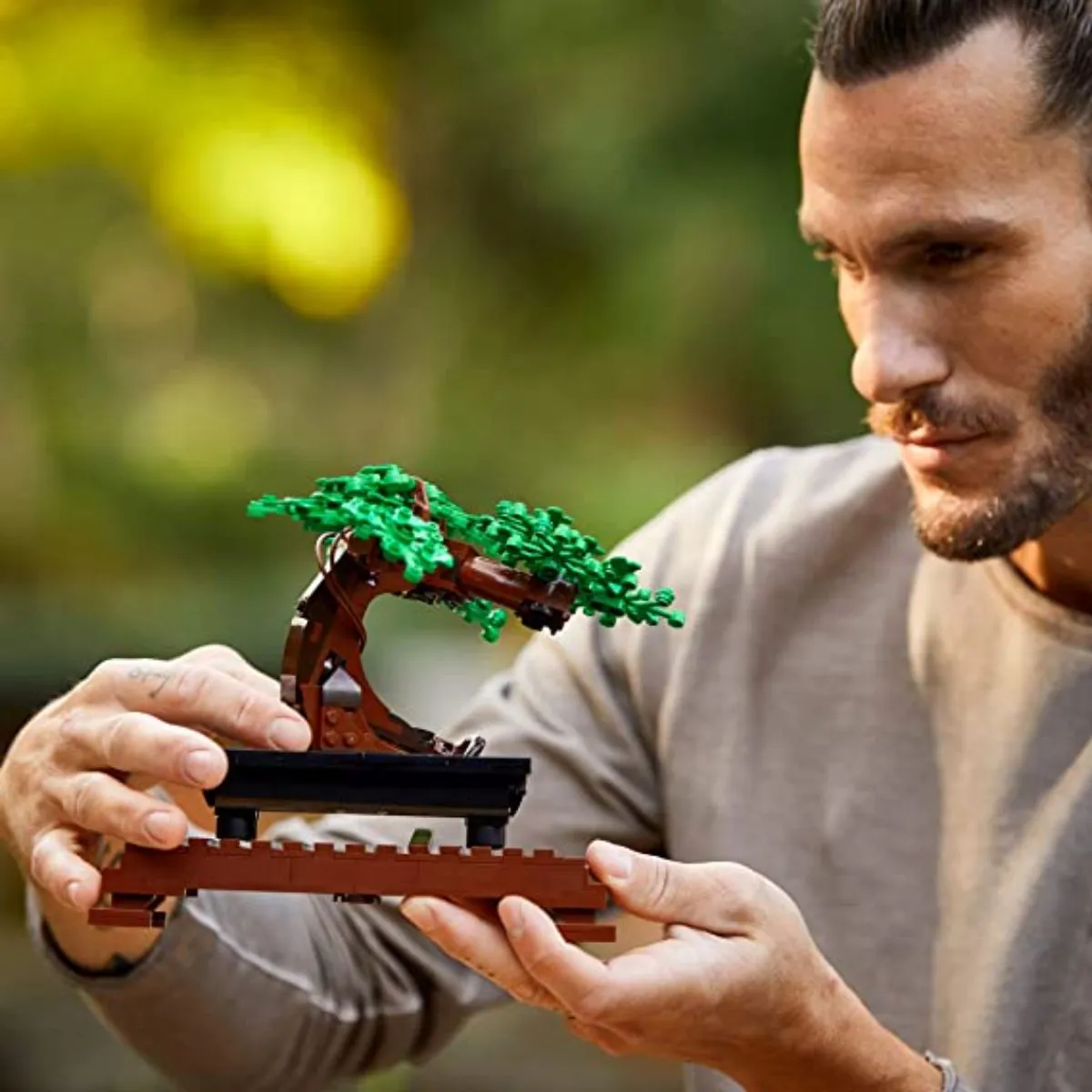 Bonsai Tree