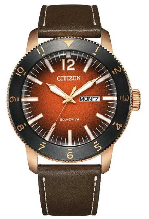 CITIZEN AN0079-13XB