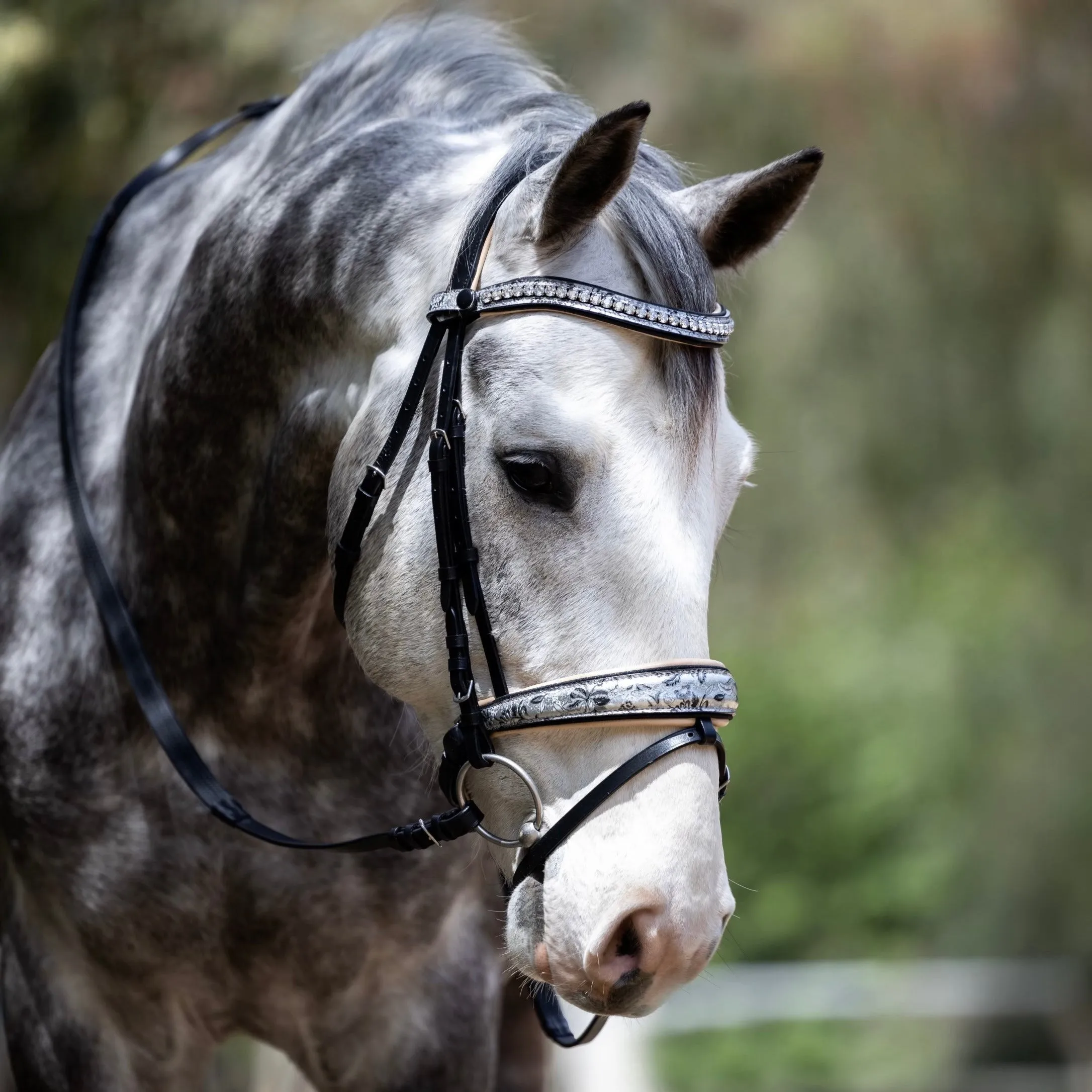 Limited Edition Venetian Bridle with Cream Flash