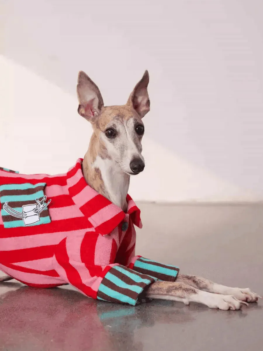 Matching Duo - Striped Cotton Dog Pyjamas