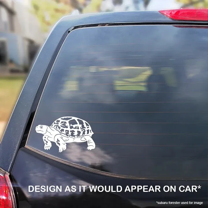 Russian Tortoise Waterproof Vinyl Decal, Cute Reptile Gift