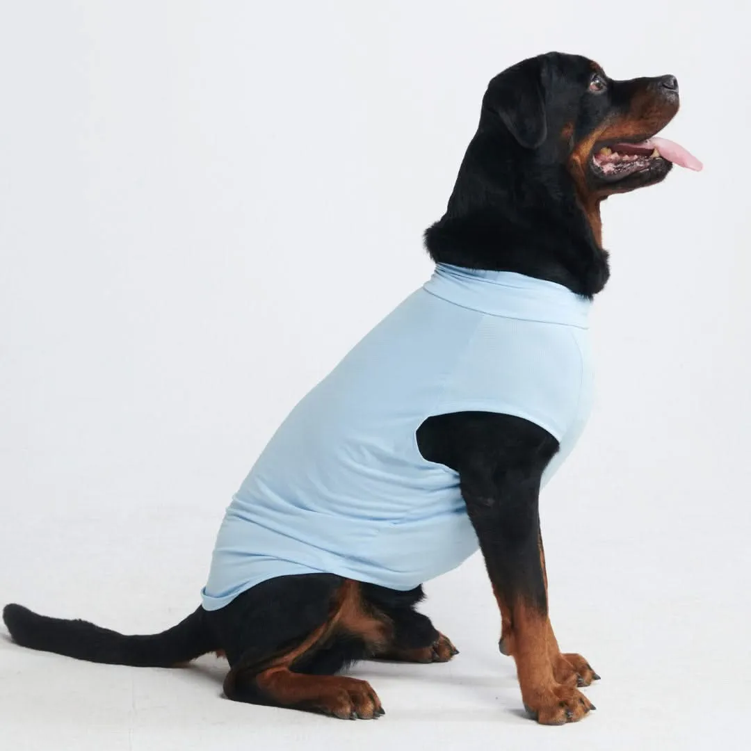 Sunblock Dog T-Shirt - Blue