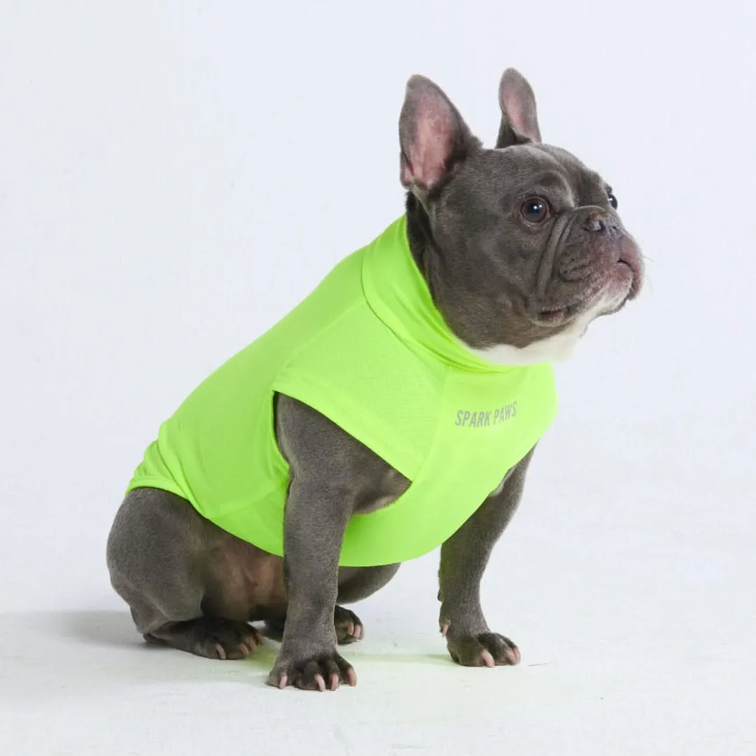 Sunblock Dog T-Shirt - Neon