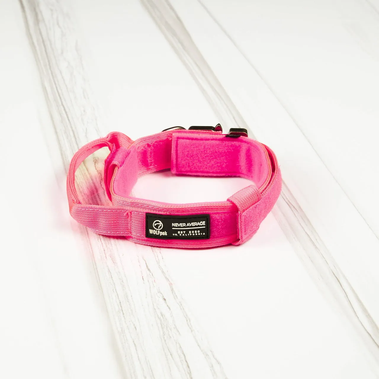 Tactical Nylon Dog Collar Neon Pink