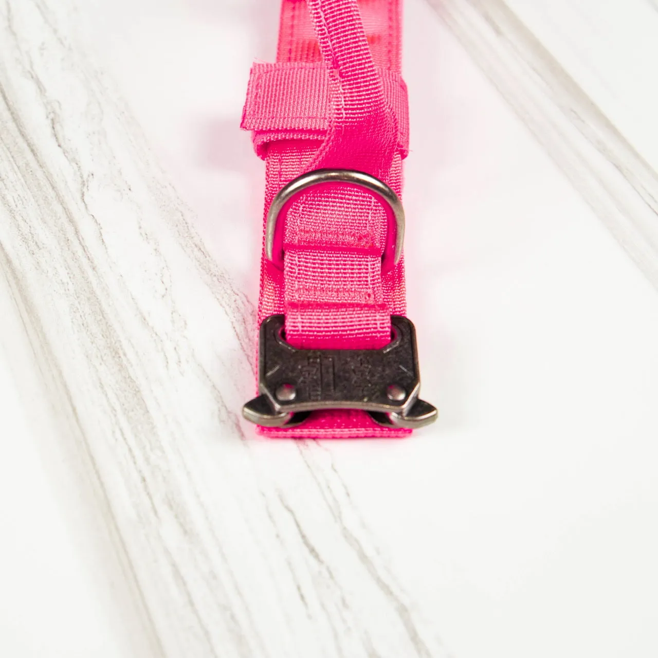 Tactical Nylon Dog Collar Neon Pink