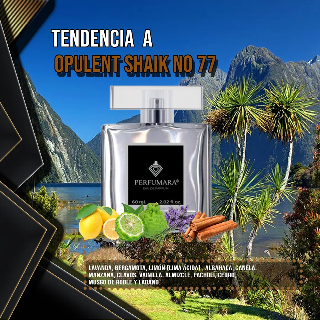 Tendencia  a COpulent Shaik No 77