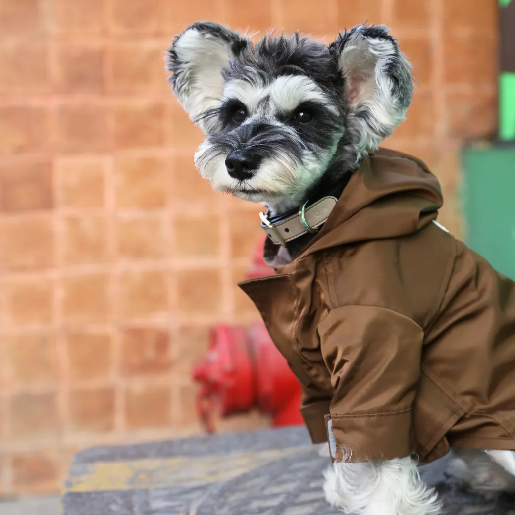 Tribeca adjustable velcro raincoat -  Choco