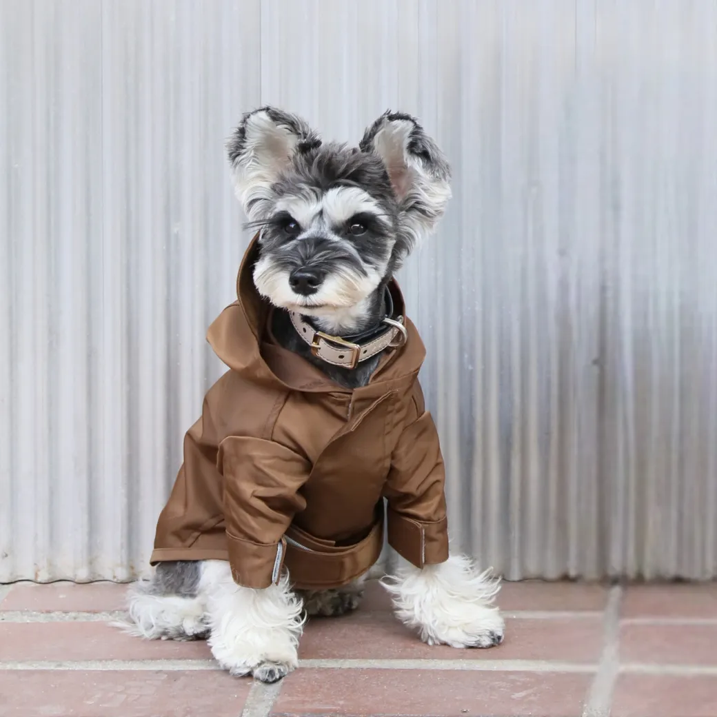 Tribeca adjustable velcro raincoat -  Choco